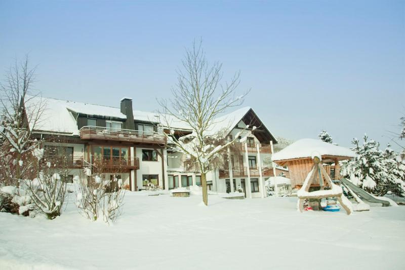 Haus Alexandra Inkl Meinecard Plus 维林根 外观 照片